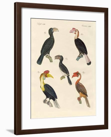 Strange Birds-null-Framed Giclee Print