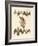 Strange Chiroptera-null-Framed Giclee Print