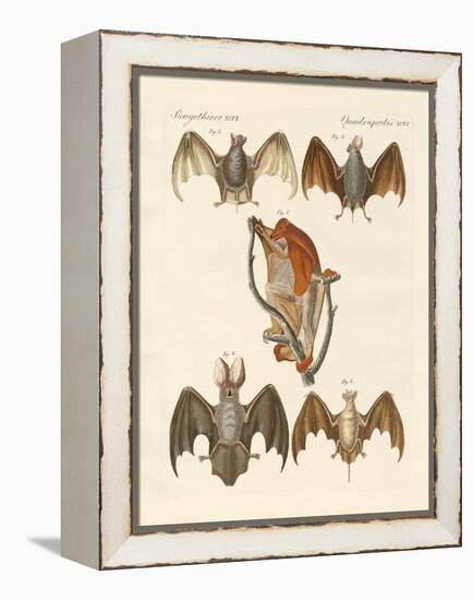 Strange Chiroptera-null-Framed Premier Image Canvas