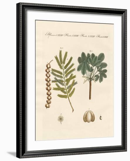 Strange Commercial Plants-null-Framed Giclee Print