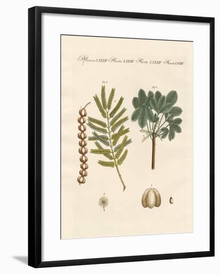 Strange Commercial Plants-null-Framed Giclee Print