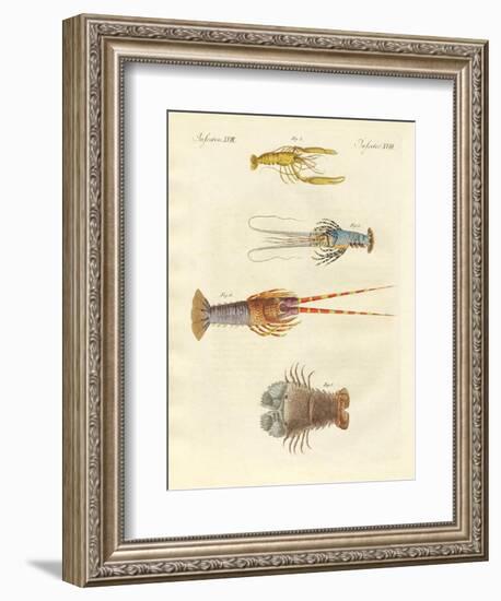 Strange Crabs--Framed Giclee Print