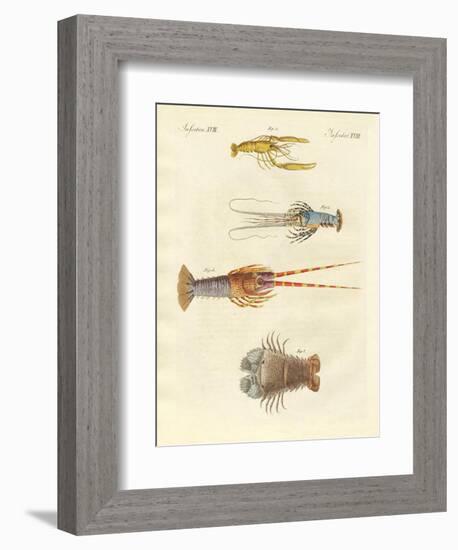 Strange Crabs-null-Framed Giclee Print