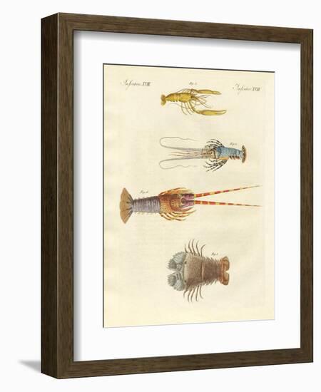 Strange Crabs-null-Framed Giclee Print