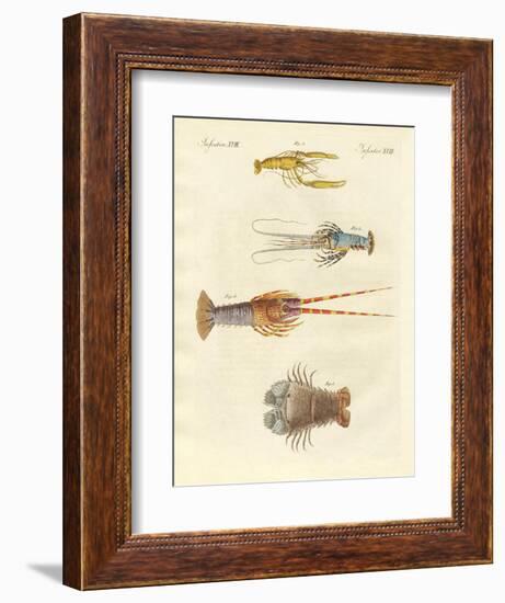 Strange Crabs-null-Framed Giclee Print