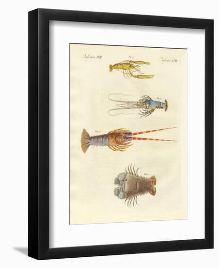 Strange Crabs--Framed Giclee Print