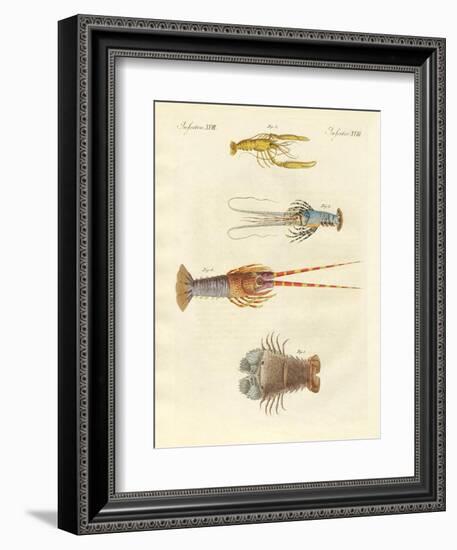 Strange Crabs-null-Framed Giclee Print