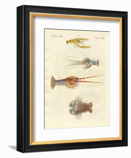 Strange Crabs-null-Framed Giclee Print