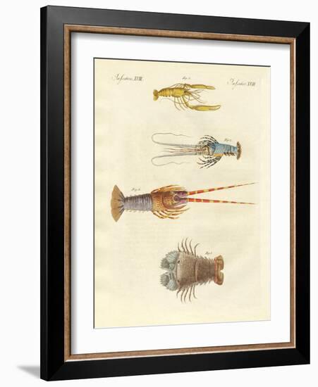 Strange Crabs-null-Framed Giclee Print