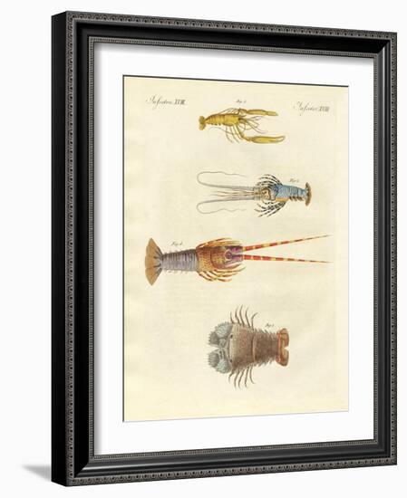 Strange Crabs-null-Framed Giclee Print