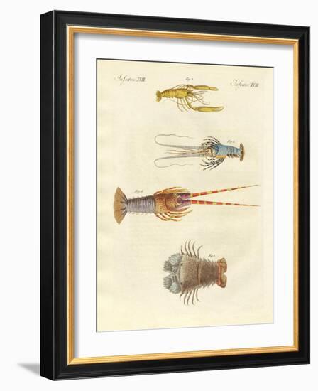 Strange Crabs-null-Framed Giclee Print