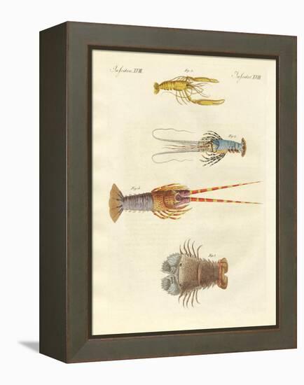 Strange Crabs-null-Framed Premier Image Canvas