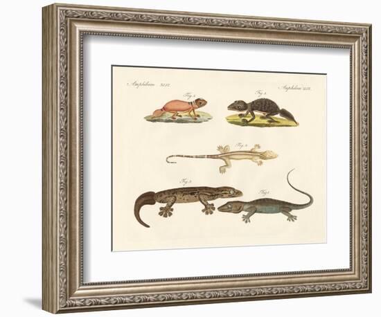 Strange Dinosaurs-null-Framed Giclee Print