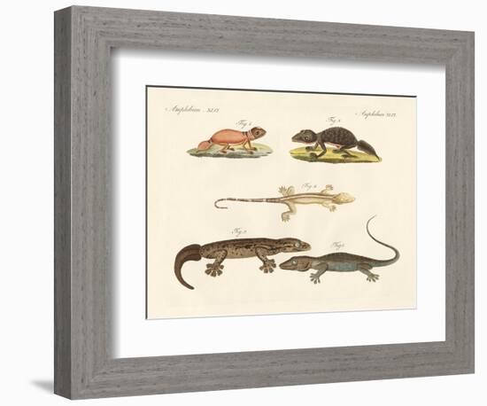 Strange Dinosaurs-null-Framed Giclee Print