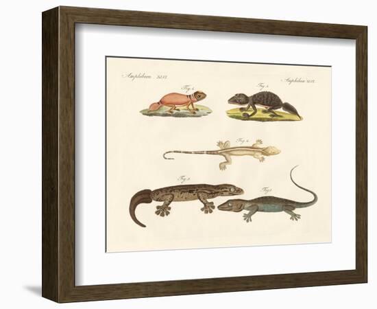 Strange Dinosaurs-null-Framed Giclee Print