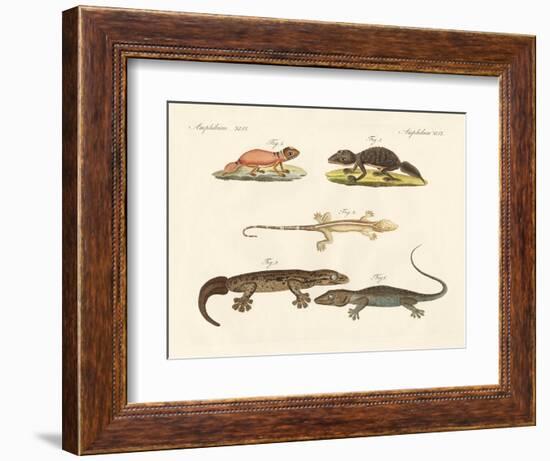 Strange Dinosaurs-null-Framed Giclee Print