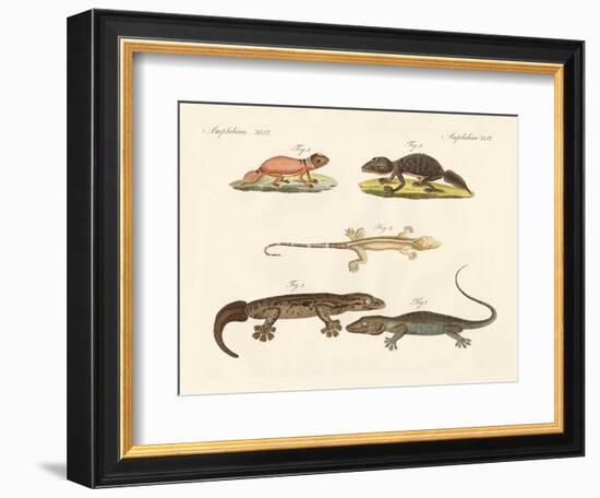 Strange Dinosaurs-null-Framed Giclee Print