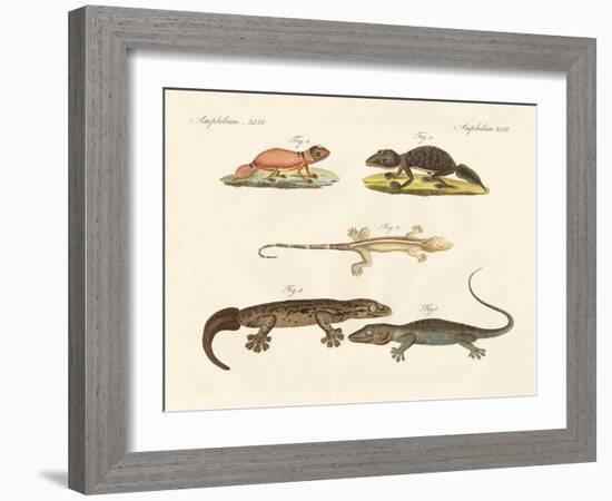 Strange Dinosaurs-null-Framed Giclee Print