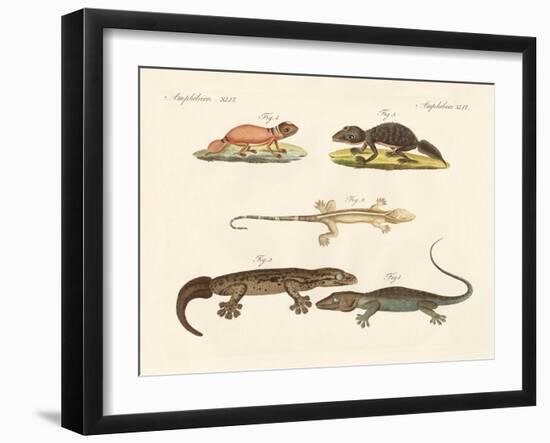 Strange Dinosaurs-null-Framed Giclee Print