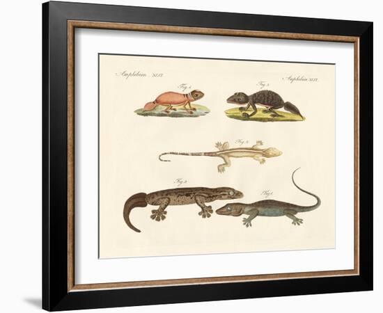 Strange Dinosaurs-null-Framed Giclee Print