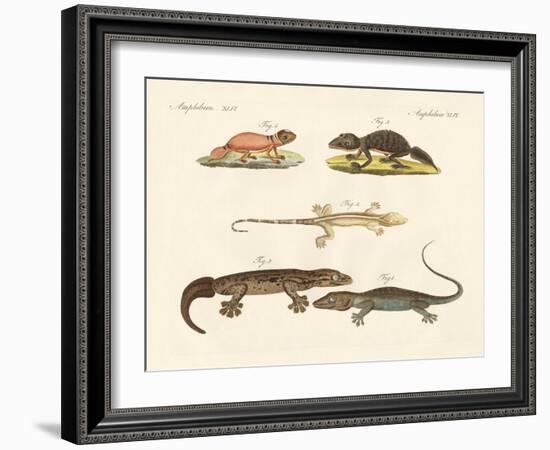 Strange Dinosaurs-null-Framed Giclee Print