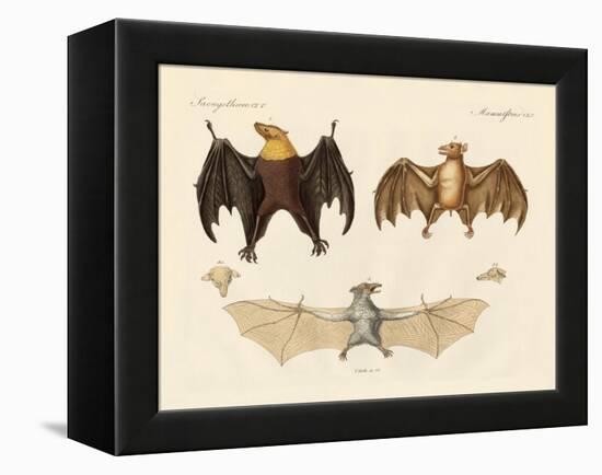 Strange Flap Animals-null-Framed Premier Image Canvas