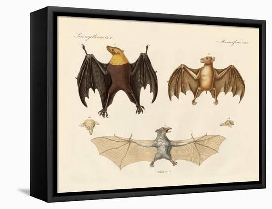 Strange Flap Animals-null-Framed Premier Image Canvas