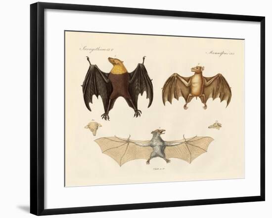 Strange Flap Animals-null-Framed Giclee Print