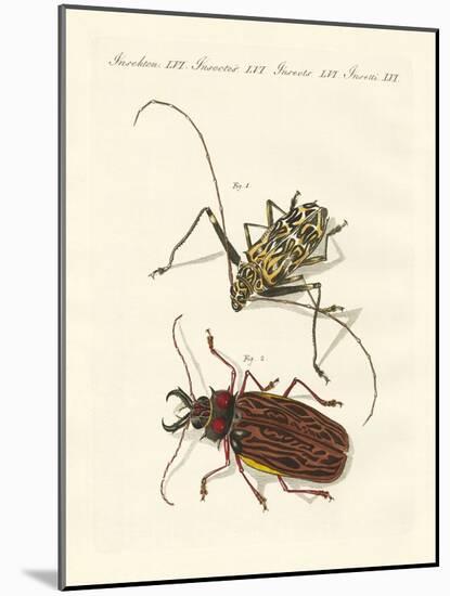 Strange Foreign Beetles-null-Mounted Giclee Print