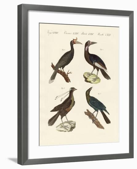 Strange Foreign Birds-null-Framed Giclee Print