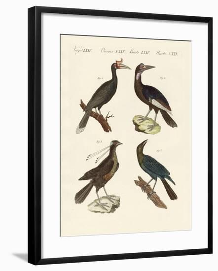 Strange Foreign Birds-null-Framed Giclee Print