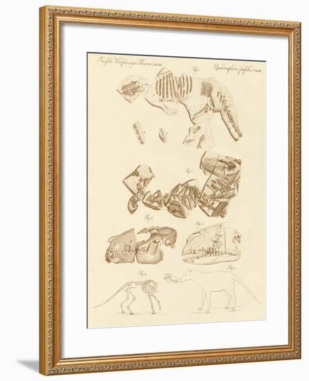 Strange Fossils of Four-Footed Animals-null-Framed Giclee Print