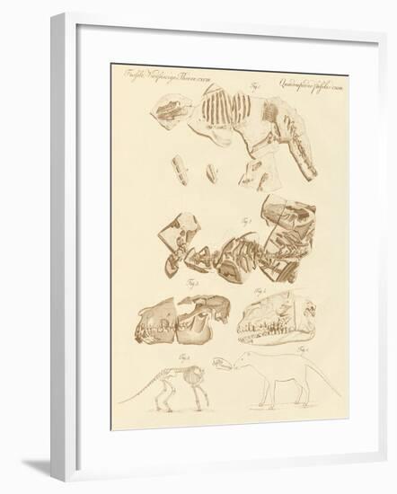 Strange Fossils of Four-Footed Animals-null-Framed Giclee Print