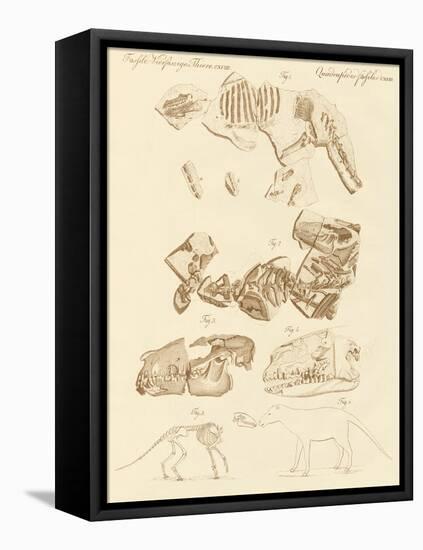 Strange Fossils of Four-Footed Animals-null-Framed Premier Image Canvas