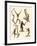 Strange Gibbons-null-Framed Giclee Print