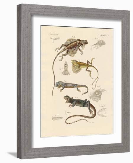 Strange Lizards-null-Framed Giclee Print