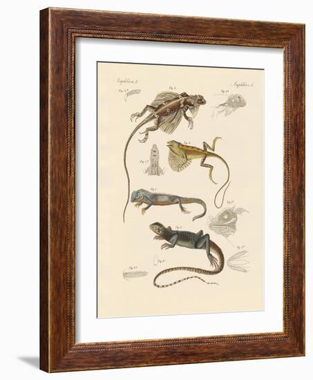 Strange Lizards-null-Framed Giclee Print