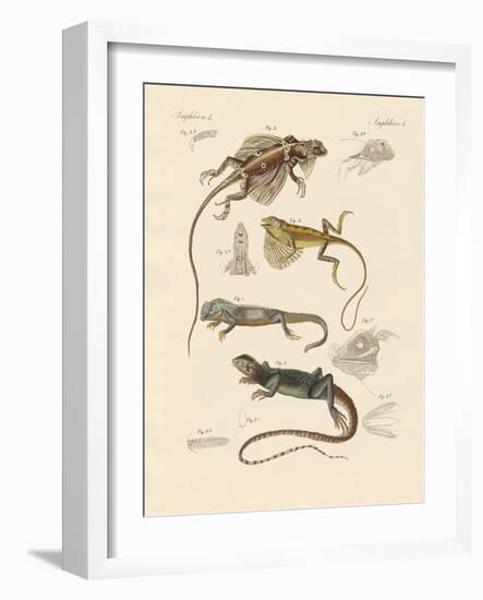 Strange Lizards-null-Framed Giclee Print