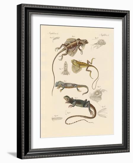 Strange Lizards-null-Framed Giclee Print