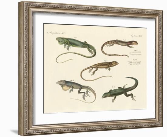 Strange Lizards-null-Framed Giclee Print