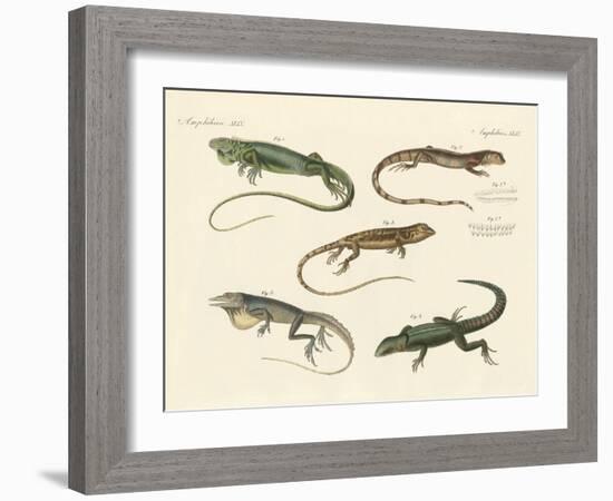 Strange Lizards-null-Framed Giclee Print