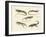 Strange Lizards-null-Framed Giclee Print