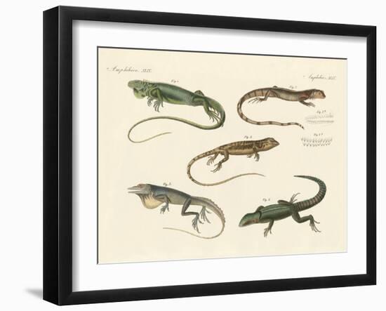 Strange Lizards-null-Framed Giclee Print