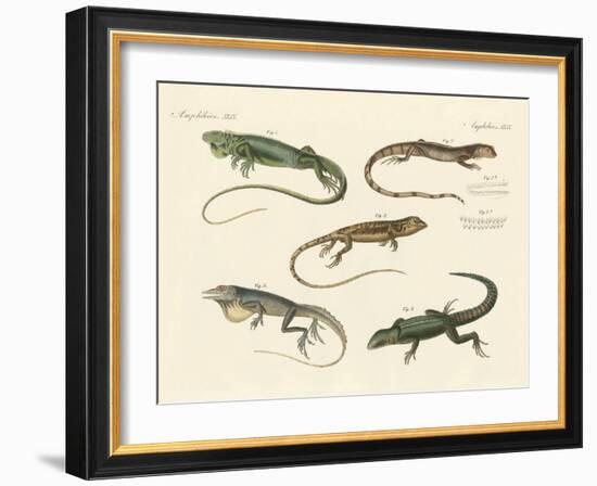 Strange Lizards-null-Framed Giclee Print