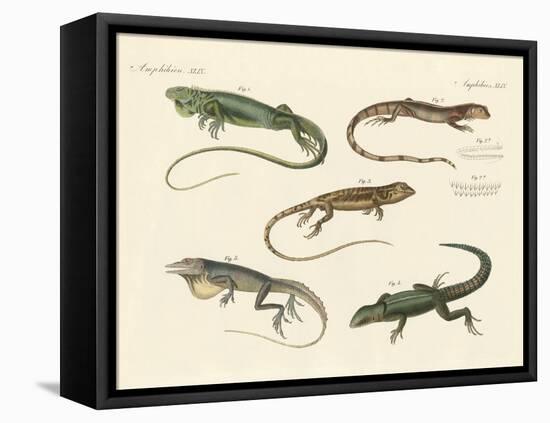 Strange Lizards-null-Framed Premier Image Canvas