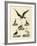 Strange Marsh-Birds and Waterbirds-null-Framed Giclee Print