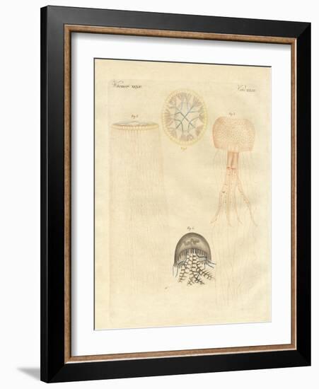 Strange Medusas-null-Framed Giclee Print