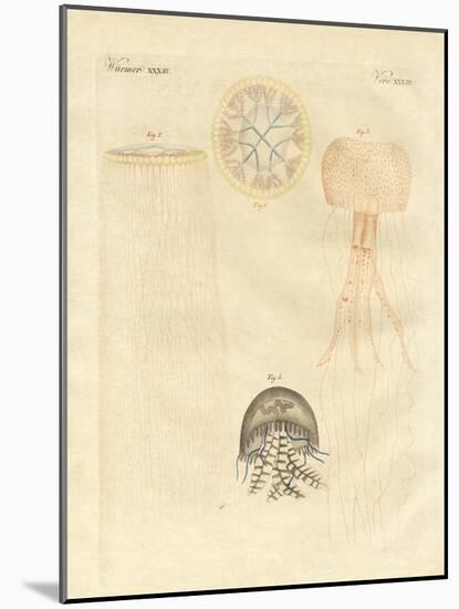 Strange Medusas-null-Mounted Giclee Print