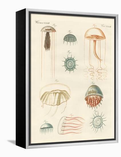 Strange Medusas-null-Framed Premier Image Canvas