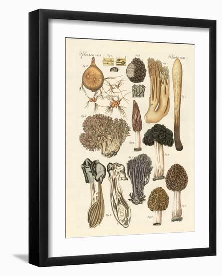 Strange Plants-null-Framed Giclee Print